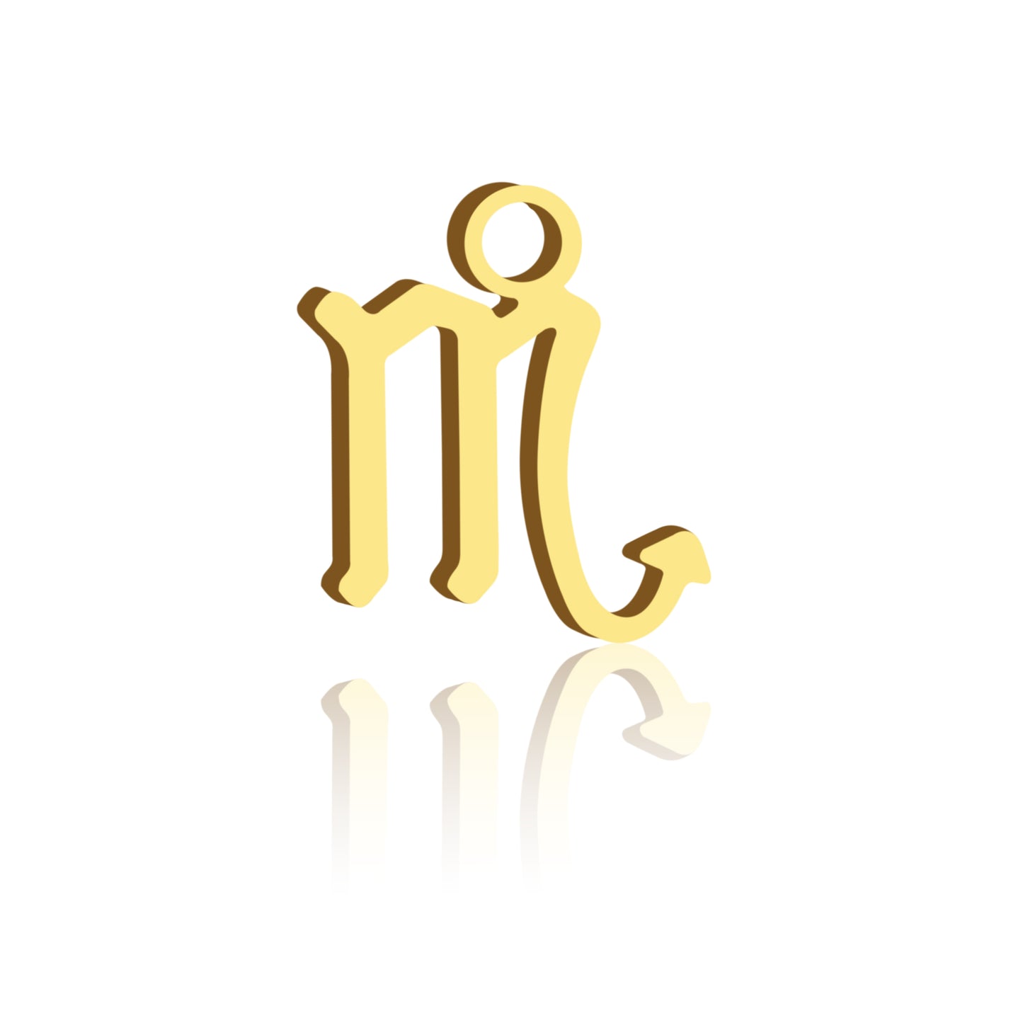 Zodiac Sign Charm