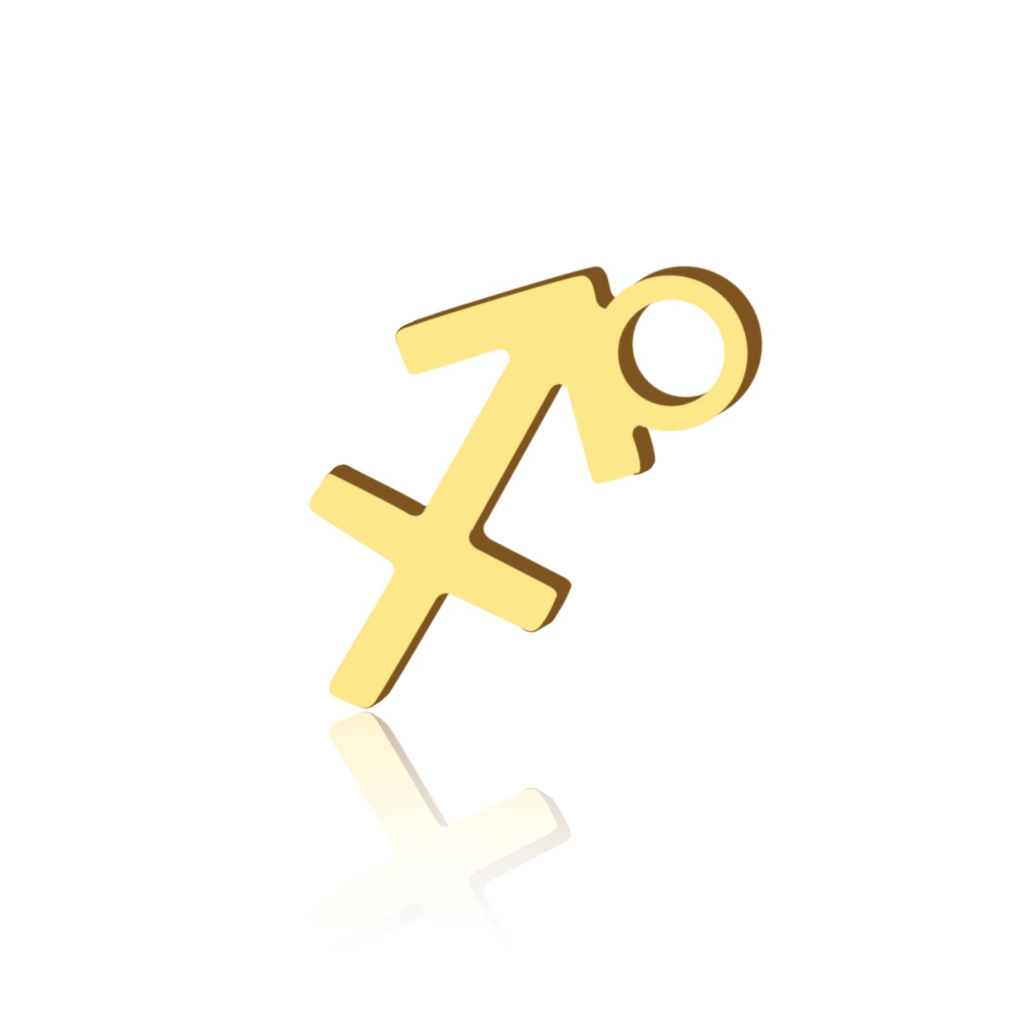 Zodiac Sign Charm